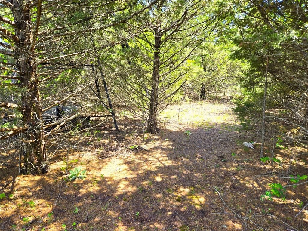 16721 Keitel Road — photo 11