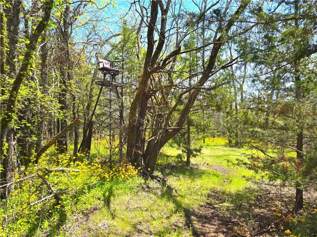 16721 Keitel Road — photo 13