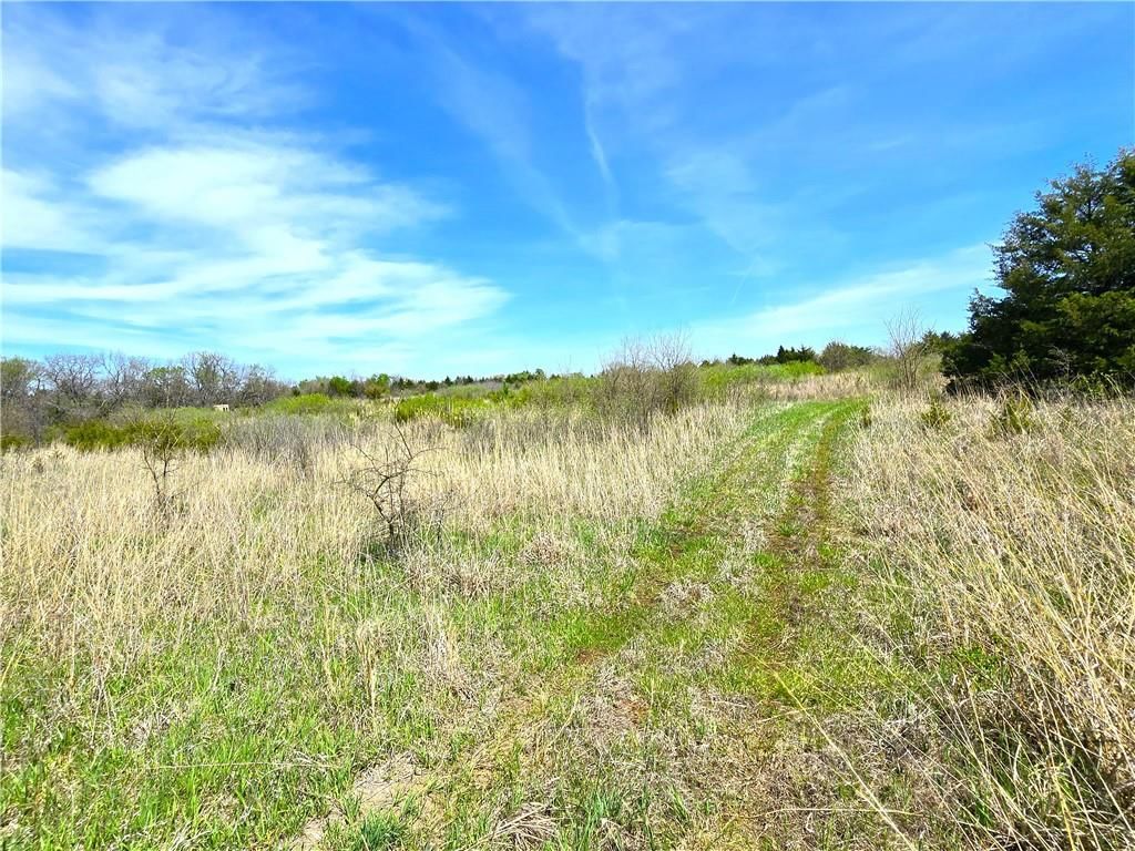16721 Keitel Road — photo 28
