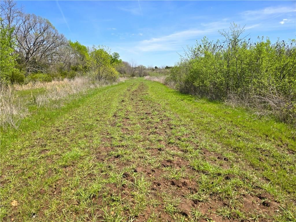 16721 Keitel Road — photo 30