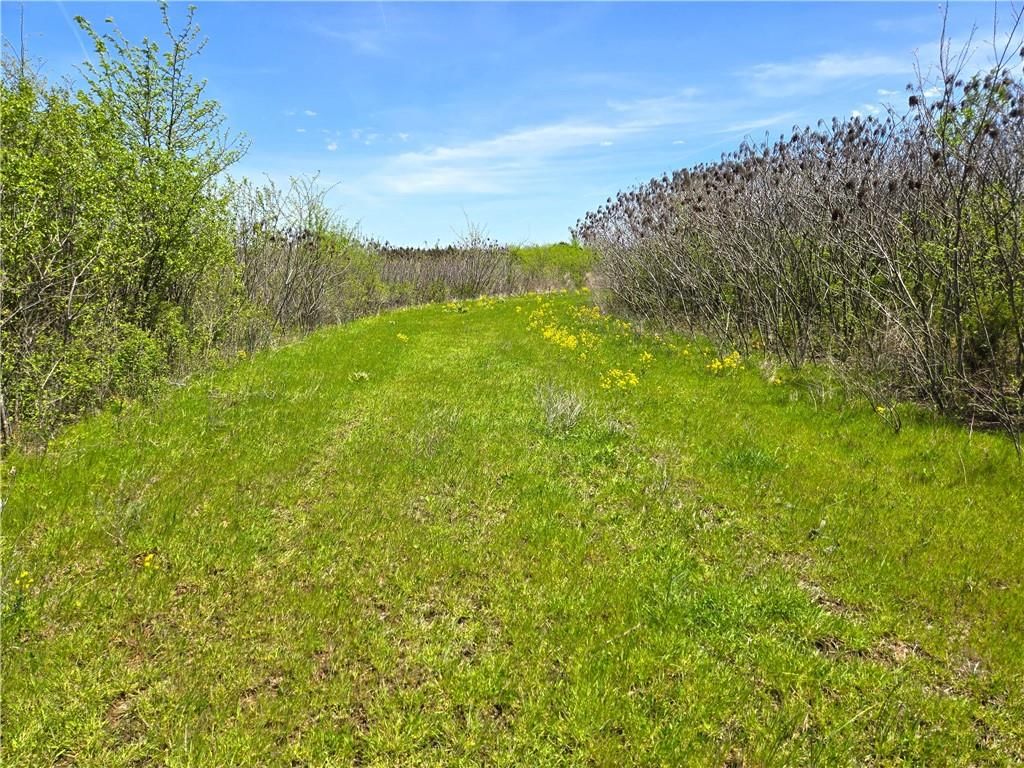 16721 Keitel Road — photo 31