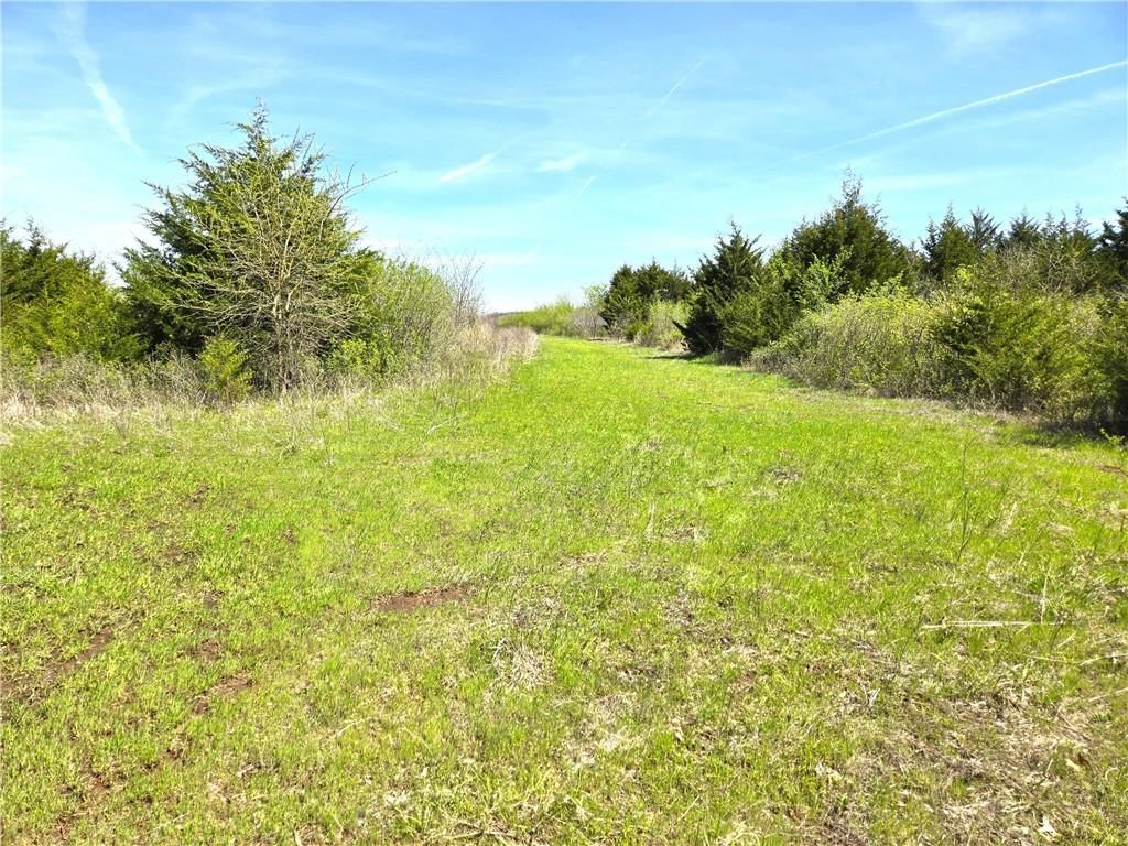 16721 Keitel Road — photo 32