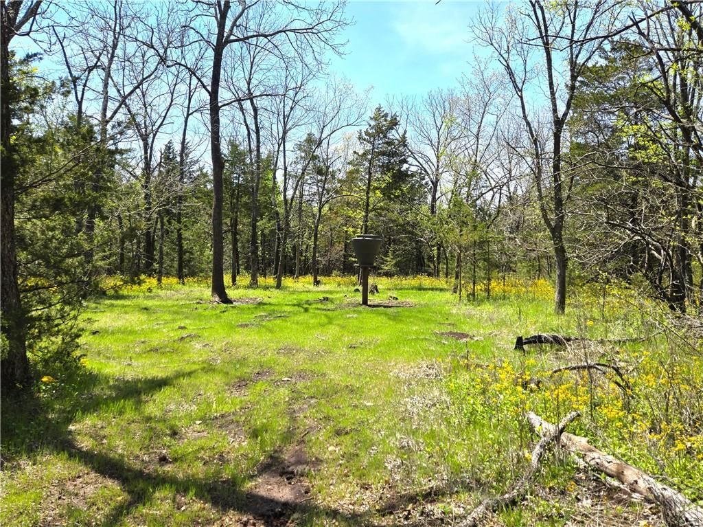 16721 Keitel Road — photo 34