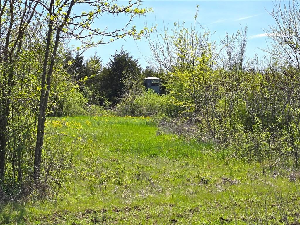 16721 Keitel Road — photo 36