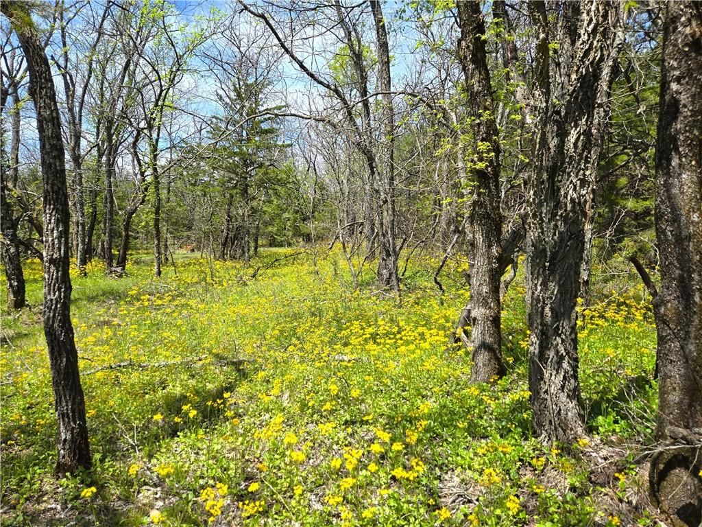 16721 Keitel Road — photo 38