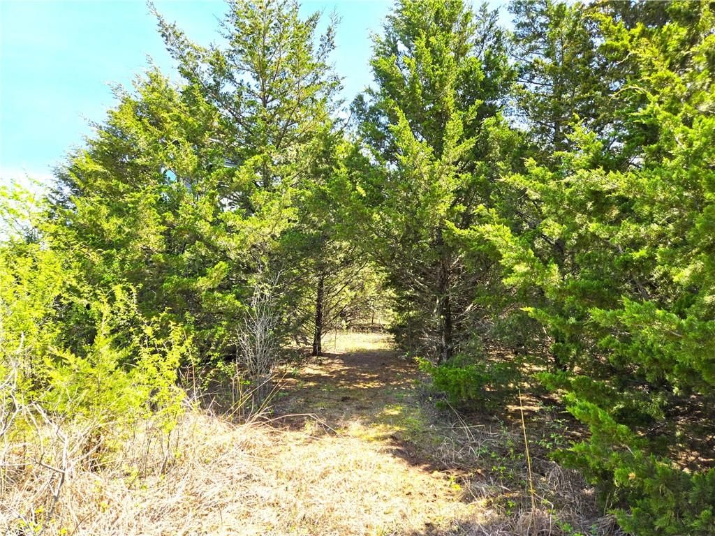 16721 Keitel Road — photo 39