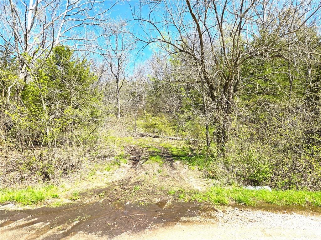 16721 Keitel Road — photo 41