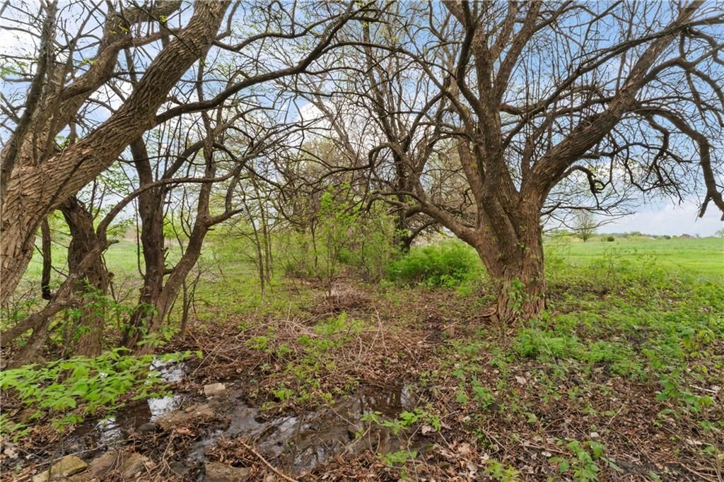 11220 W 359th Street — photo 45