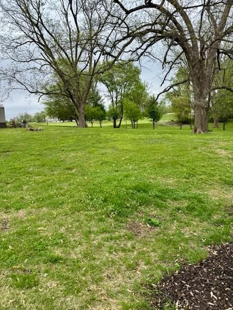 403 W Cedar Street — photo 19