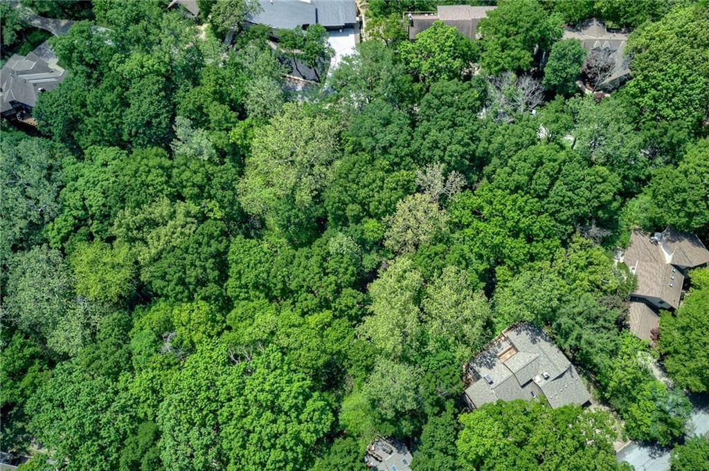 Bluff View — photo 8