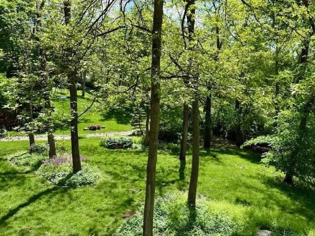 13224 Barkley Street — photo 19