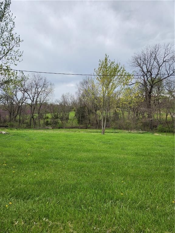 15921 Cantrell Road — photo 15