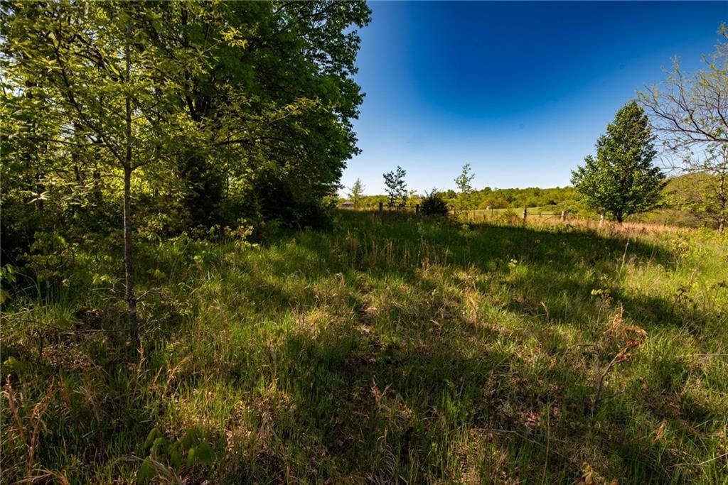 TBD E BynumSpur Road — photo 9