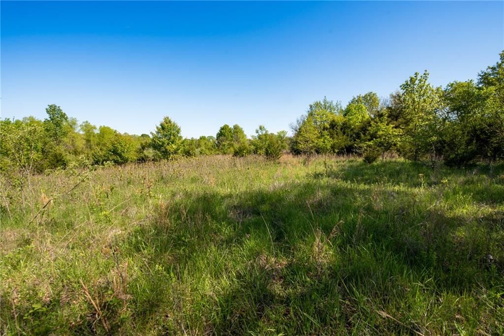 TBD E BynumSpur Road — photo 10