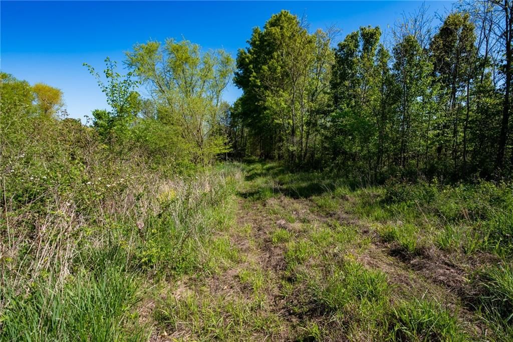 TBD E BynumSpur Road — photo 11