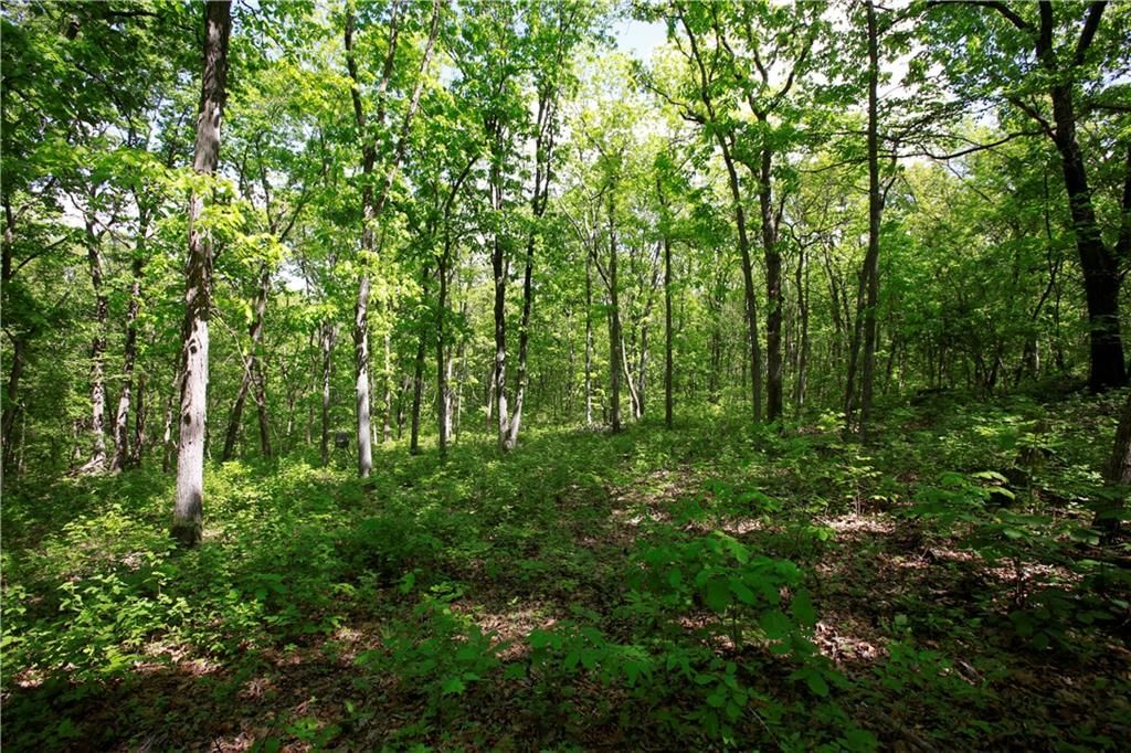 TBD SE 1121 Road — photo 16