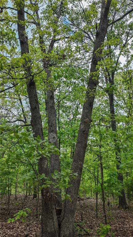 11375 NE 50 Road — photo 8