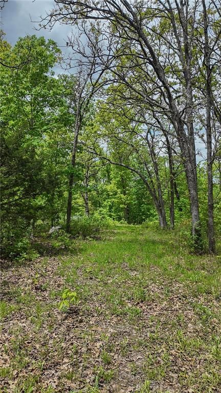 11375 NE 50 Road — photo 9