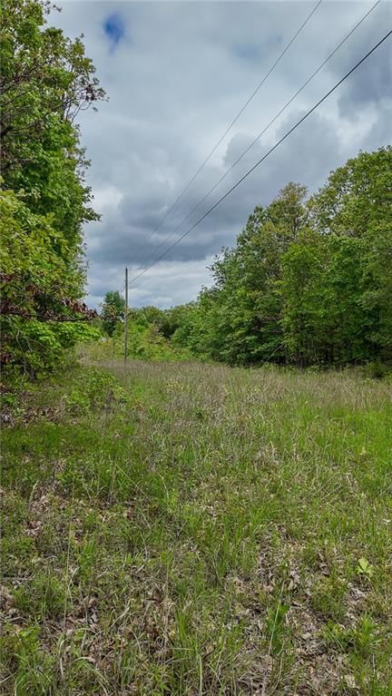 11375 NE 50 Road — photo 18