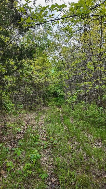 11375 NE 50 Road — photo 22