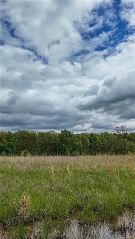 11375 NE 50 Road — photo 30