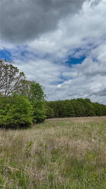11375 NE 50 Road — photo 32