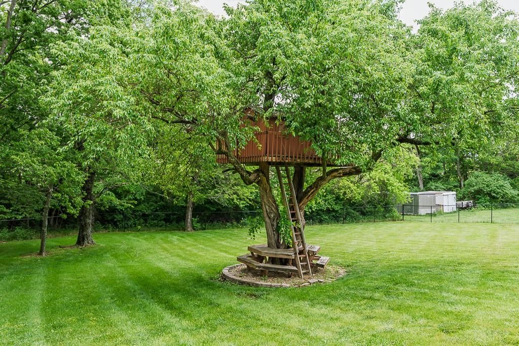 7905 Monticello Road — photo 45