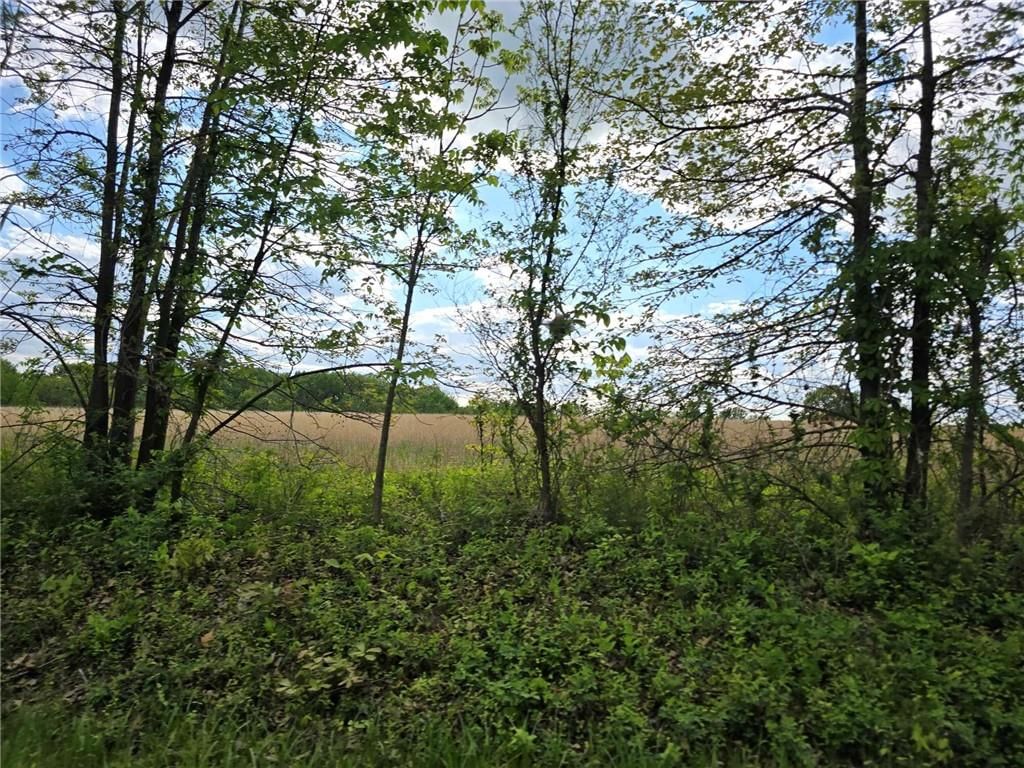 Photo 40 of 58 - 301 SE 611 Road