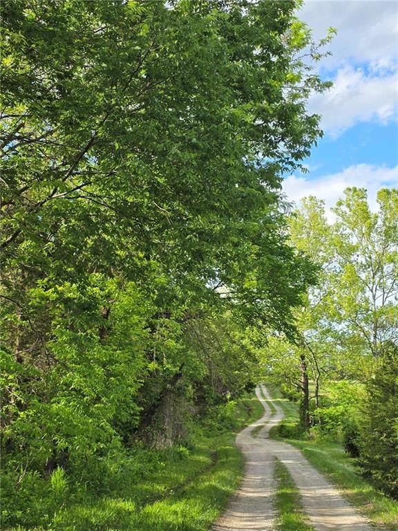 Photo 41 of 58 - 301 SE 611 Road