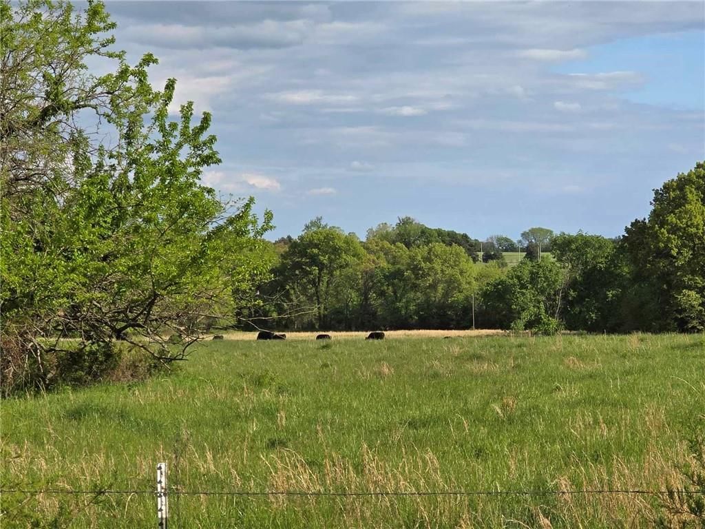 Photo 58 of 58 - 301 SE 611 Road