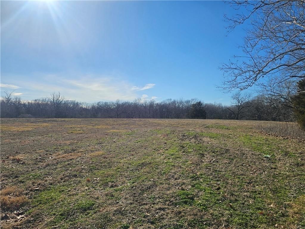 14781 Evening Star Road — photo 5