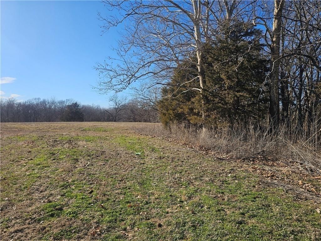 14781 Evening Star Road — photo 6