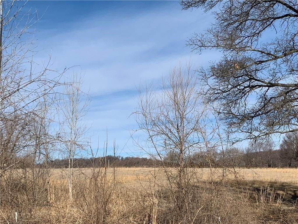 2104 Limit Street — photo 20
