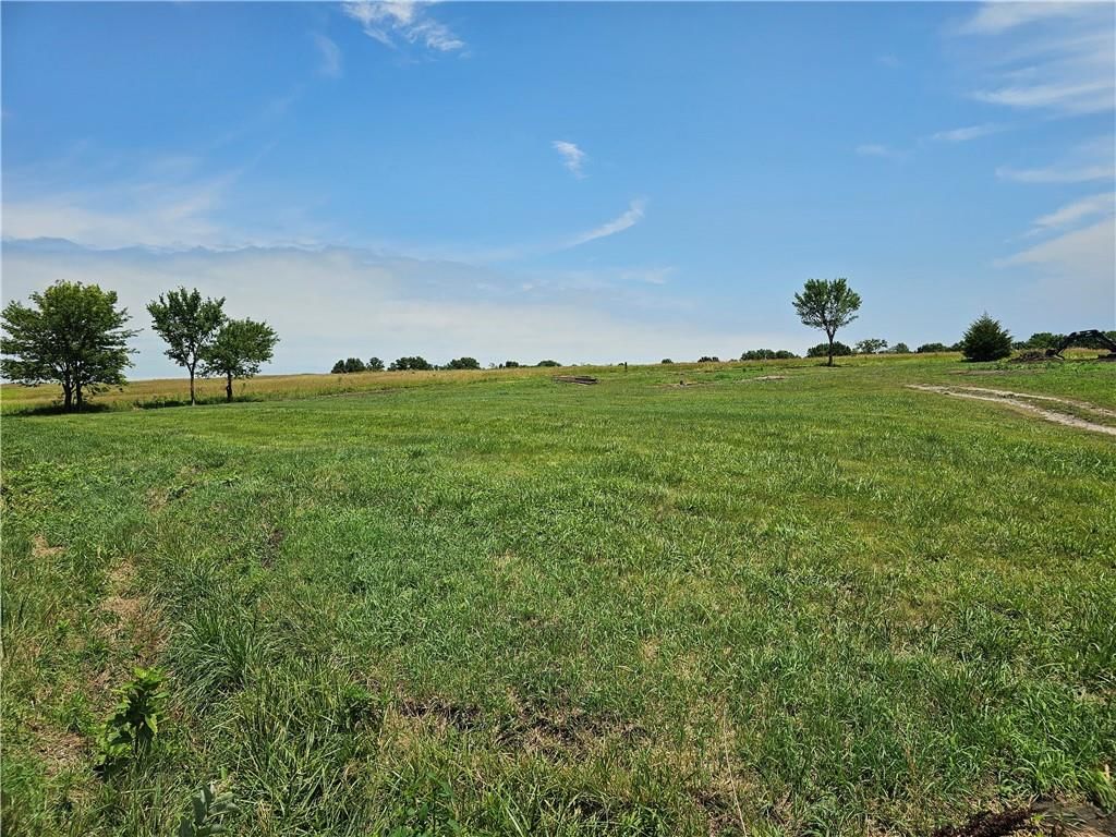 33110 CR 230 Road — photo 28