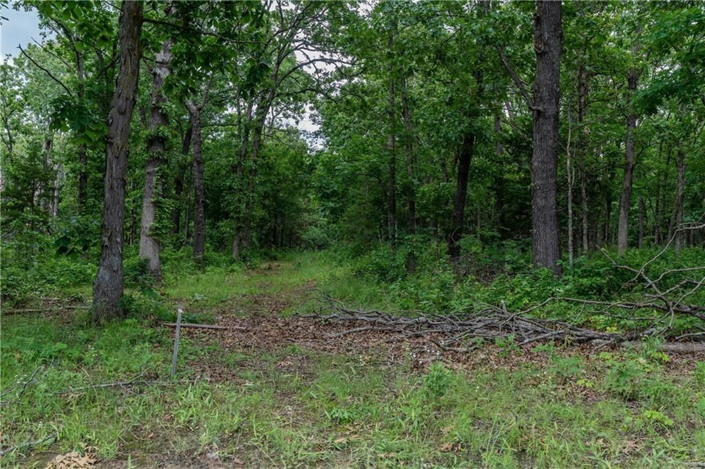 Photo 34 of 57 - 1501 NE 775 Road