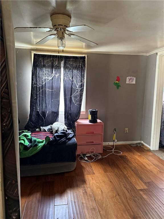 604 Willow Street — photo 3