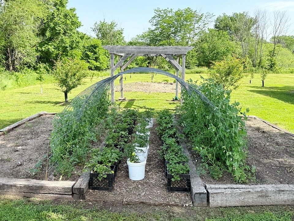 Photo 41 of 49 - 30285 E Pawhuska Road