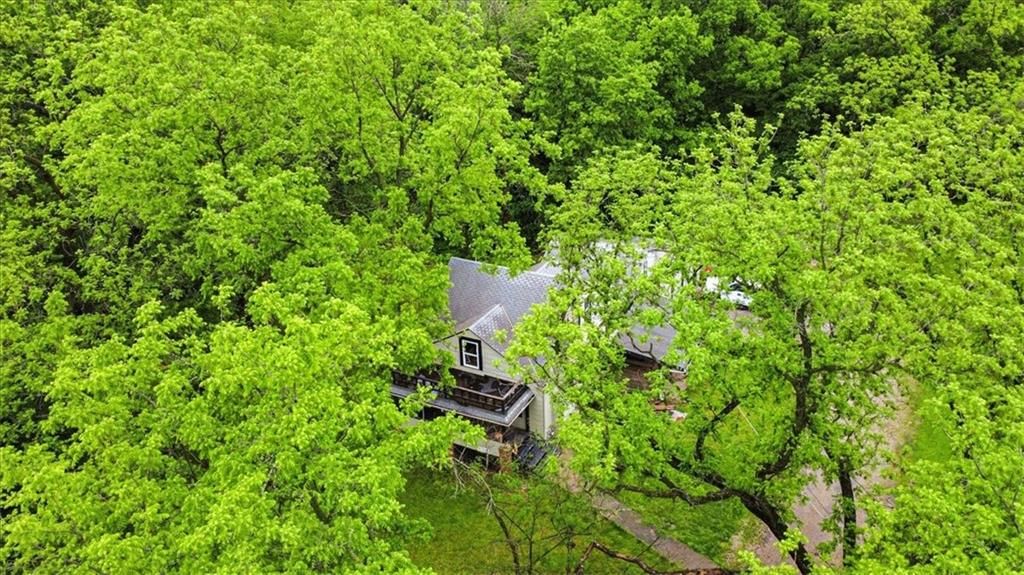 7508 Walnut Street — photo 15