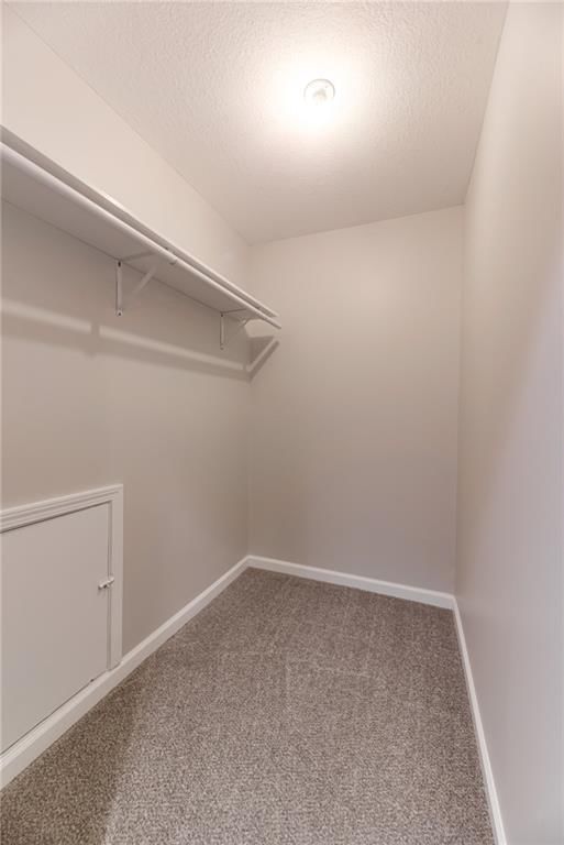 4316 Fisher Street — photo 13