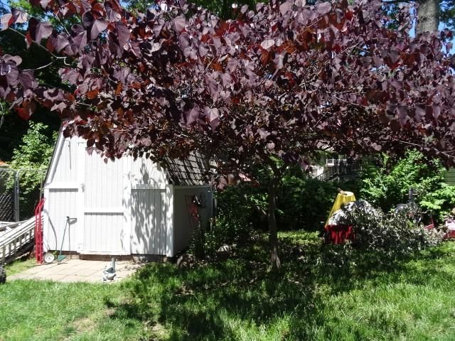 1502 S Main Street — photo 67