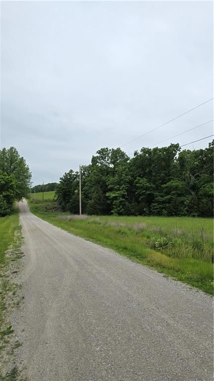 3517 Forbes Road — photo 5