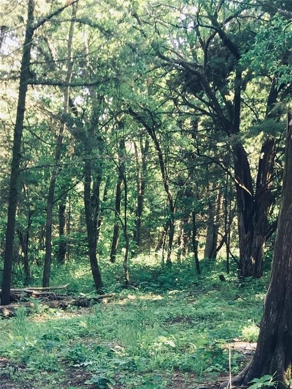 42 Wood Drive, Mound City, KS