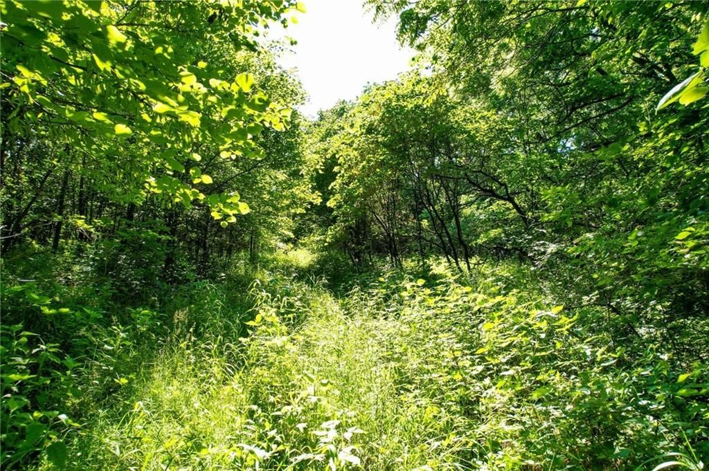 00000 Orahood Road — photo 11