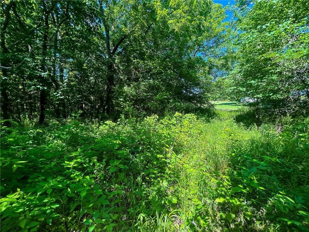 00000 Orahood Road — photo 12