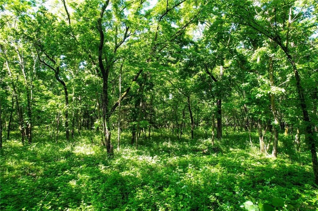 00000 Orahood Road — photo 13
