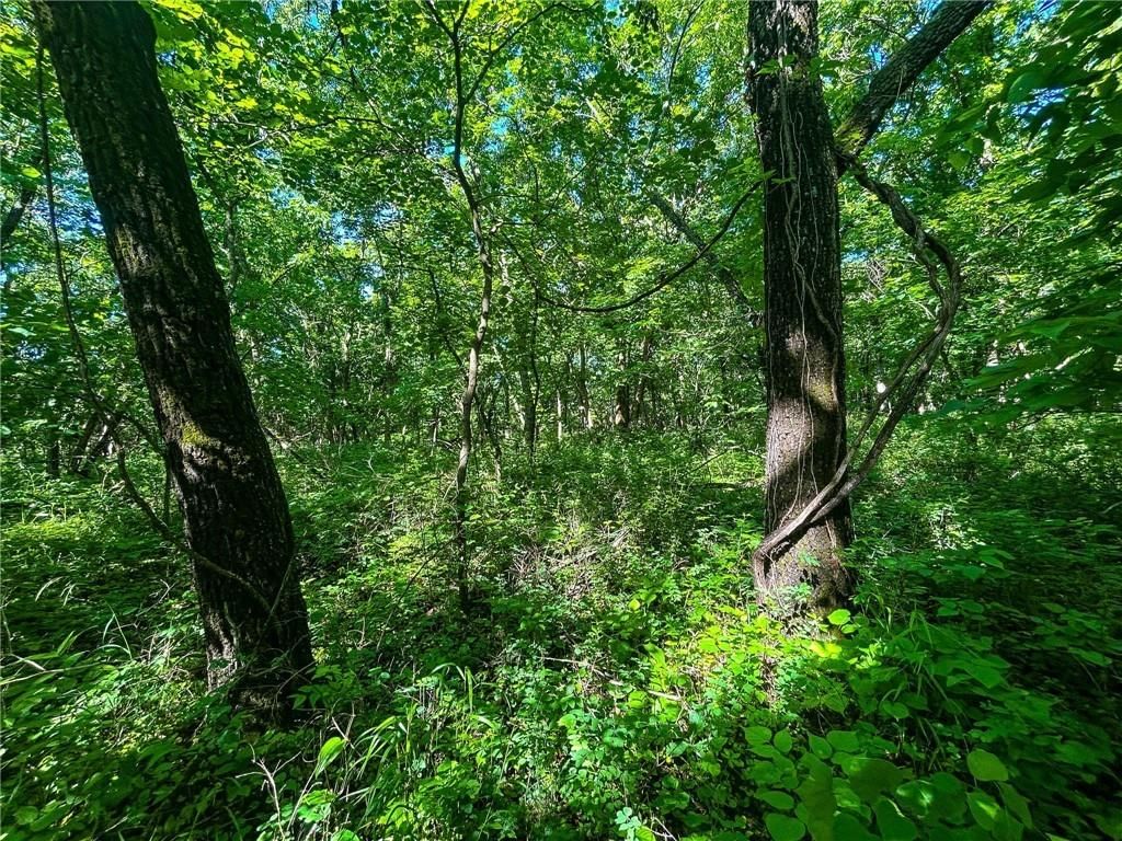 00000 Orahood Road — photo 22