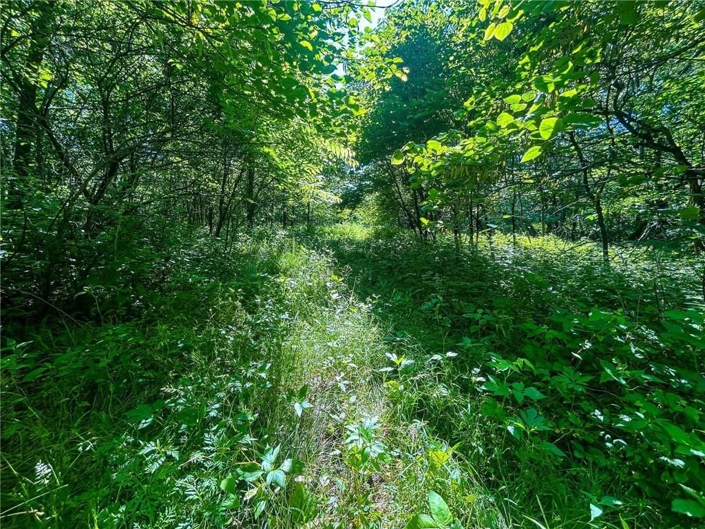 00000 Orahood Road — photo 30