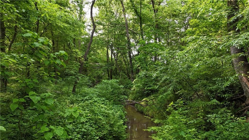 17922 County Road 361 N/A — photo 35