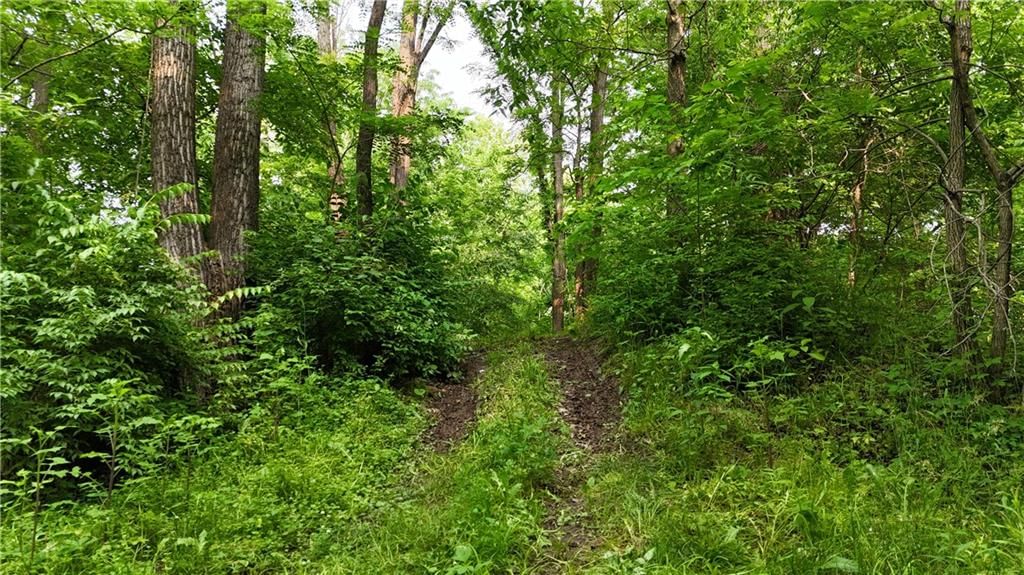 17922 County Road 361 N/A — photo 40