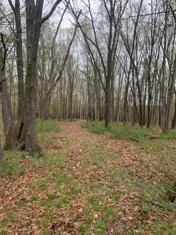 2313 Flat Creek Road — photo 16